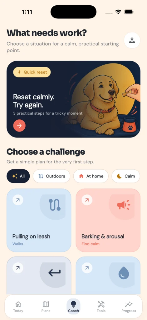 DogPath AI dog coach for a practical next step