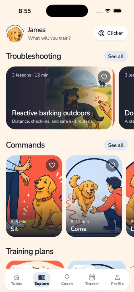 DogPath lesson and problem-program library