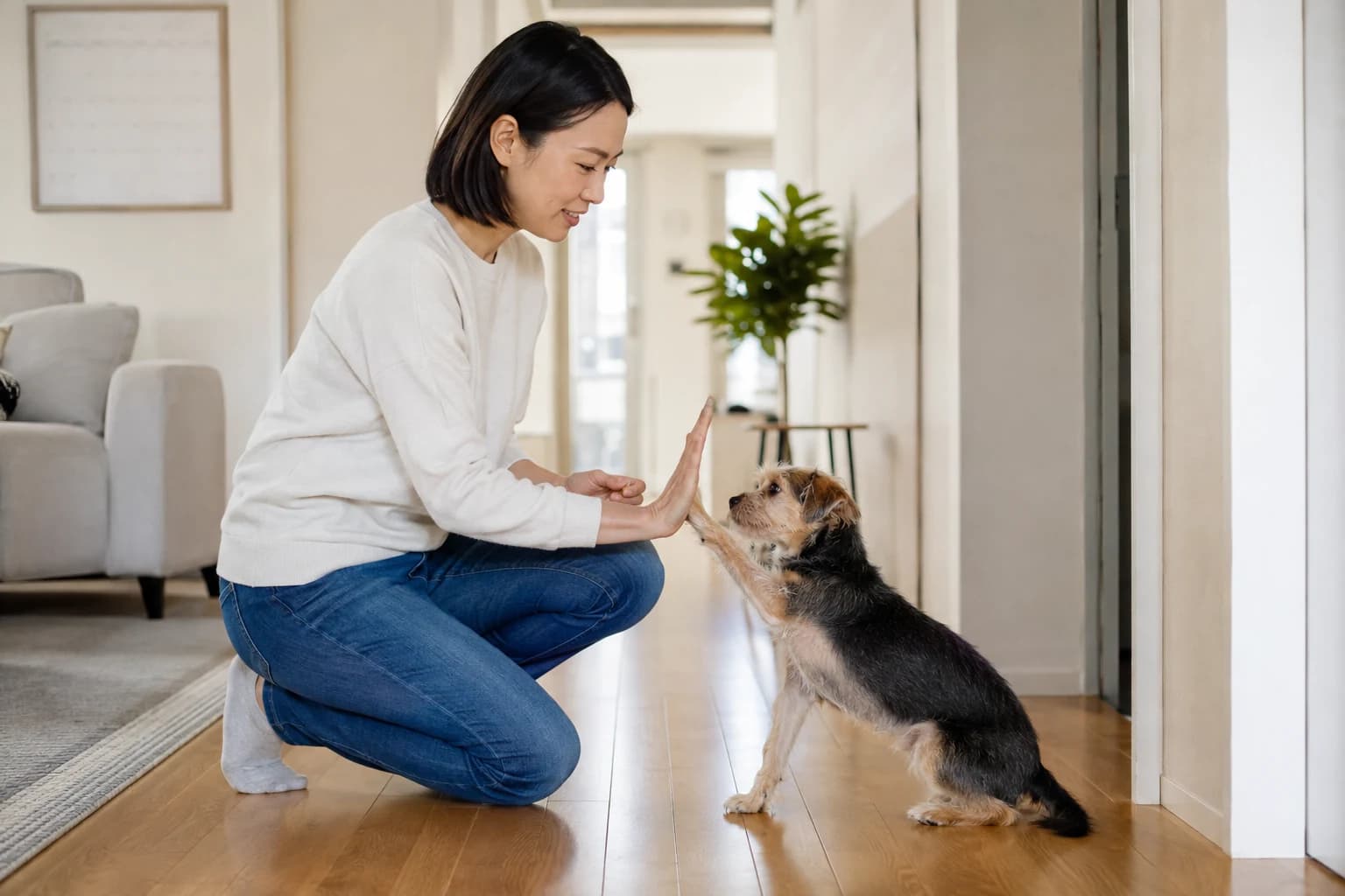 Woman records a calm hand-target baseline with a small mixed-breed dog in a quiet hallway